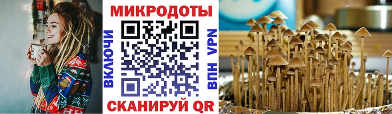 Псилоцибиновые грибы мицелий Лениногорск